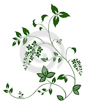 Flower and vine pattern