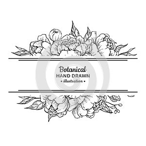 Flower vintage border. Vector peony and roses botanical drawing.