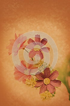 Flower vintage paper