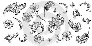 Flower vintage spring summer Baroque scroll Victorian daisy frame border floral ornament engraved retro tattoo filigree v