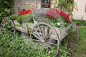 Flower Wagon