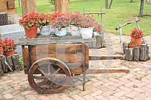 Flower Wagon