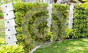 Flower wall vertical garden