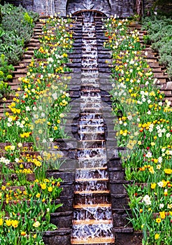 Flower water cascade