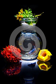 Flower in the water concept-10