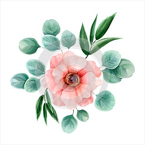 Flower watercolor, vector illustration. Botanical design. Pink a