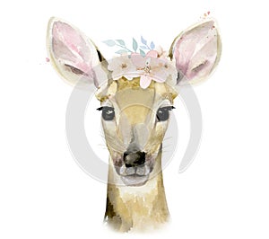 Flower watercolour deer illustration. Woodland Animal isolated on white background.