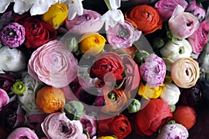 Flower wedding arrangement with ranunculus, pion, roses photo