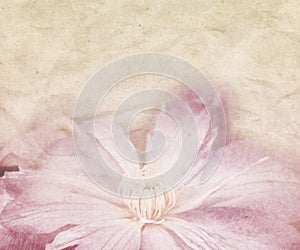 Flower Wedding Retro Background