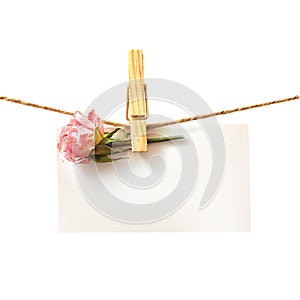 Flower and white card with clothes peg isolated