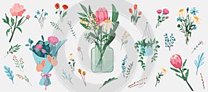 Flower wild and garden floral element vector illustration. Bloom bouquet with leaves and twigs held by hands. Blossom in