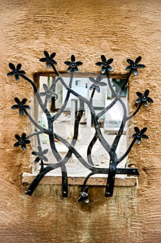 Flower window
