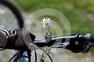 Fiore sul una donna girare 