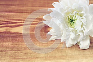 Flower on the wooden table . vintage filtered image