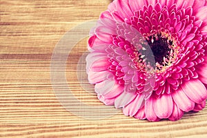 Flower on the wooden table . vintage filtered image