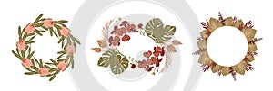 Flower wreath collection. Tropical palm leaves, protea, orchid flowers and dry leaves empty border on white background