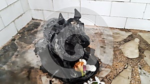 Flower And Batashe Offering On The Vehicle Nandi Of Lord Shiva