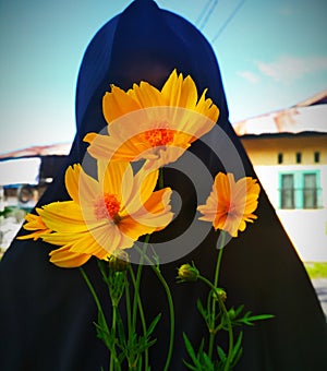 Flower Yellow Kenikir