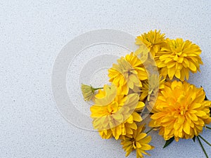 Flower, yellow, nature, flowers, floral, plant, spring, beauty, blossom, summer, isolated, bouquet, petal, garden, chrysanthemum,