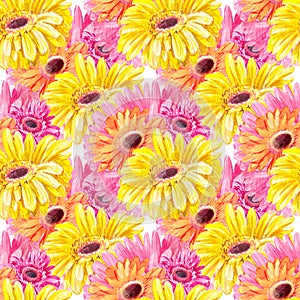 Flower yellow-pink pattern. Watercolor gerbera seamless texture