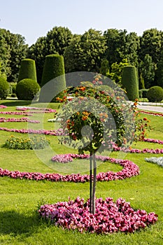 Flowerbed on the alley in the Schoenbrunn Palace Park