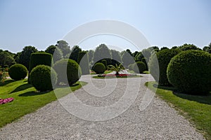 Flowerbed on the alley in the Schoenbrunn Palace Park