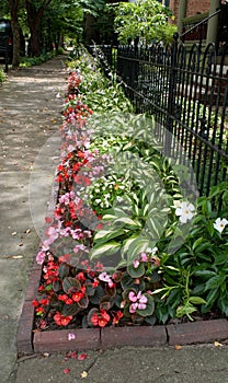 Flowerbed Along Sidewalk