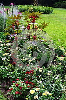Flowerbed in botanical garden with various summer annual plants and flowers, green lawn in background
