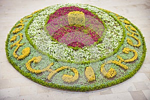 Flowerbed with curvilinear shapes with clear stone floor