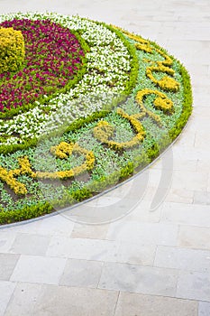 Flowerbed with curvilinear shapes with clear stone floor