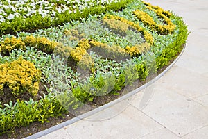 Flowerbed with curvilinear shapes with clear stone floor photo