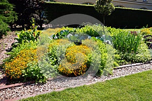 Flowerbed, decorative plants, grass