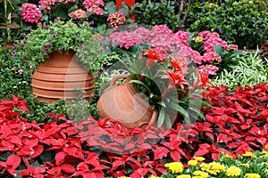 Flowerbed with gallipot