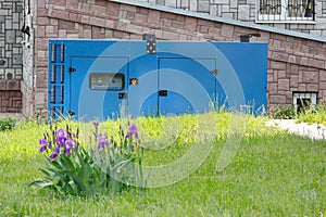 A flowerbed of irises on the background of a diesel generator for emergency power supply against the wall of the medical