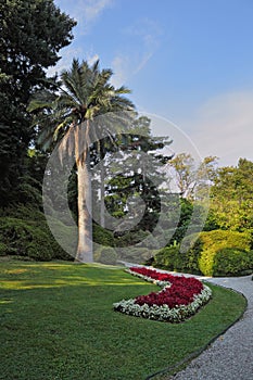 The flowerbed, lawn and path in a park