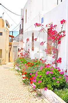 Flowerbed om street of Hersonissos.