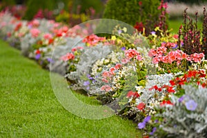 Flowerbed in park