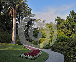 The flowerbed and path in the park