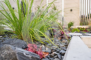 Flowerbed with Pebbles, Rocks and Grass Shrub