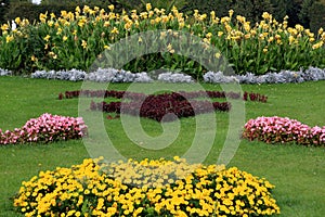 Flowerbed, SchÃ¶nbrunn Palace