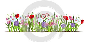 Flowerbed. Set of wild forest and garden flowers. Spring concept. Flat vector flower illustration isolate on a white