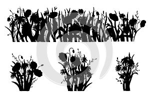Flowerbed silhouette. Wild forest and garden flowers. Spring concept. Flat vector flower illustration isolate on a white