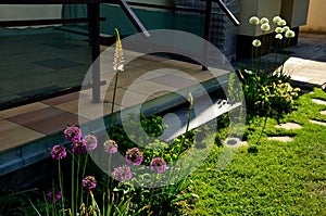 Flowerbed with tall perennial plant of white flowers and undergrowth of yellow perennials and sage in a dry composition of yellow