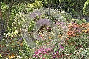 Flowerbeds Abbey Garden, Tresco