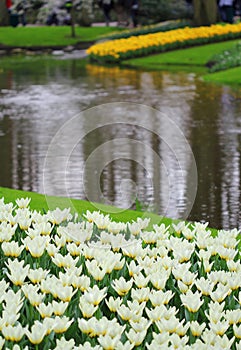 The flowerbeds with different flowers at the water