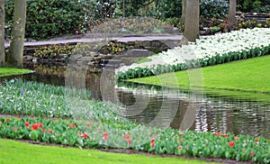 The flowerbeds with different flowers at the water