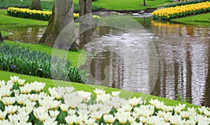 The flowerbeds with different flowers at the water