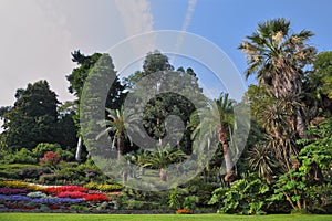 The flowerbeds in an exotic park photo