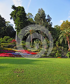 The flowerbeds in the park