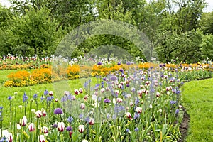 Flowerbeds in Park photo